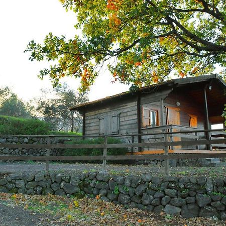Agriturismo Kikajon Лингуаглосса Экстерьер фото