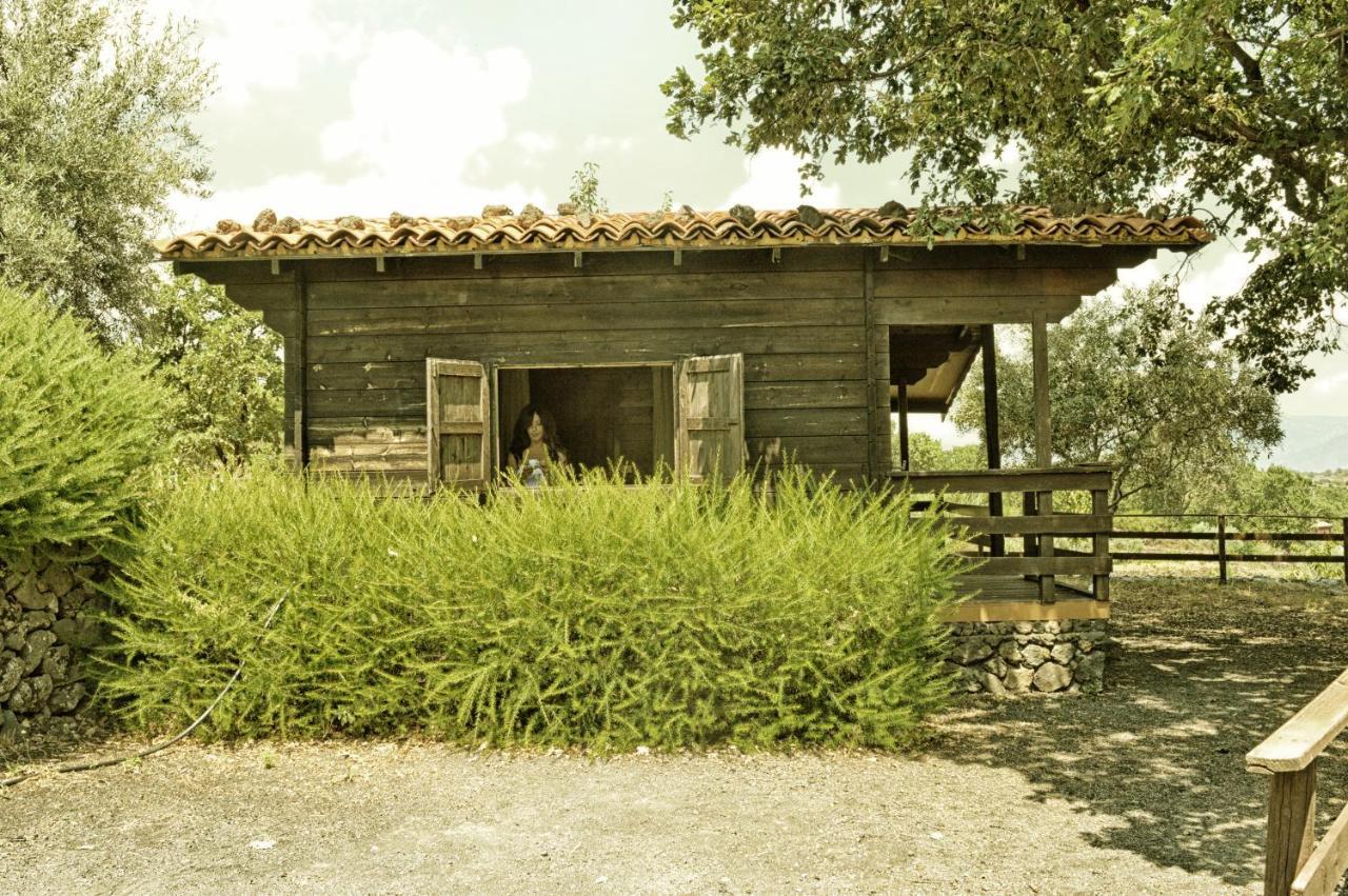 Agriturismo Kikajon Лингуаглосса Экстерьер фото